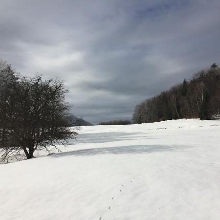 Pokoje Goscinne Vida Krynica Zdroj Bagian luar foto