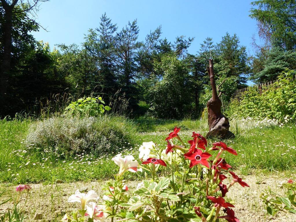 Pokoje Goscinne Vida Krynica Zdroj Bagian luar foto