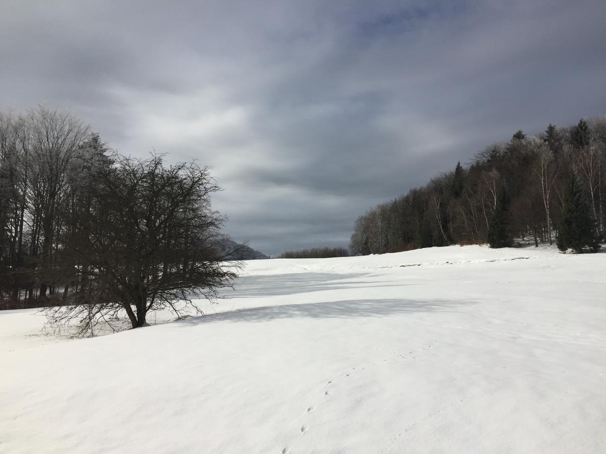 Pokoje Goscinne Vida Krynica Zdroj Bagian luar foto