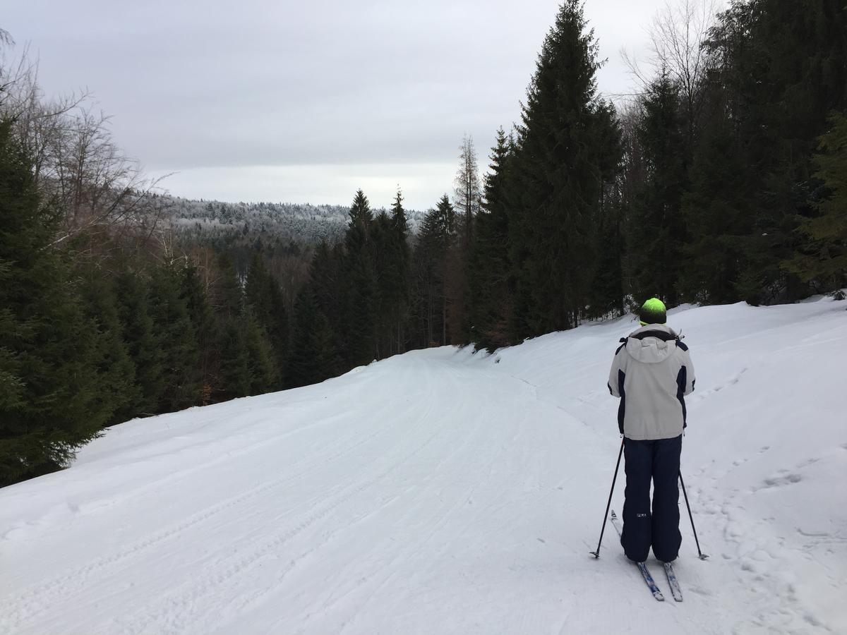 Pokoje Goscinne Vida Krynica Zdroj Bagian luar foto