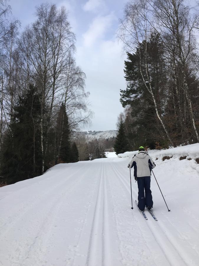Pokoje Goscinne Vida Krynica Zdroj Bagian luar foto